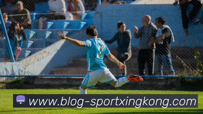 星空体育平台生态图